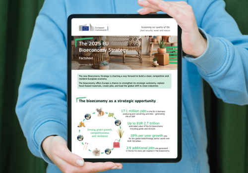 2025 Bioeconomy Strategy (1)