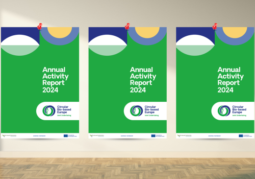 CBE JU 2024 annual report
