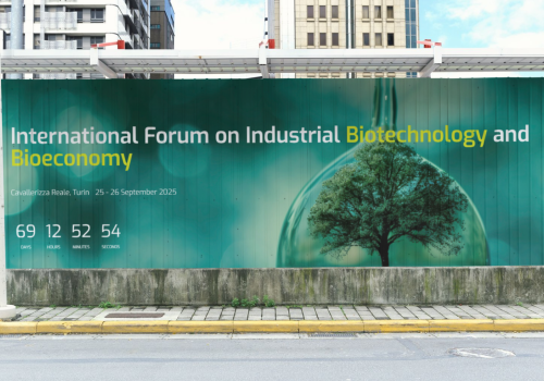 IFIB 2025