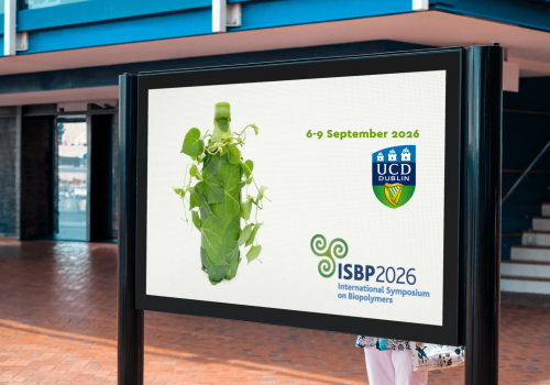 ISBP 2026
