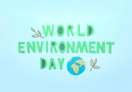 PROMOFER– World Environment Day 2026
