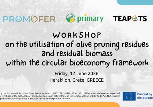 workshop PROMOFER-PRIMARY-TEAPOTS (12 Jun 2026)